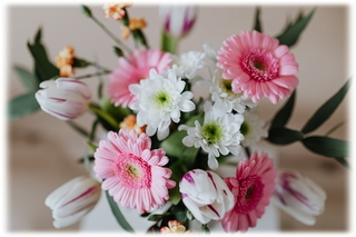 Gerberas - comment conserver un bouquet de fleurs - blog - Bouqueternel